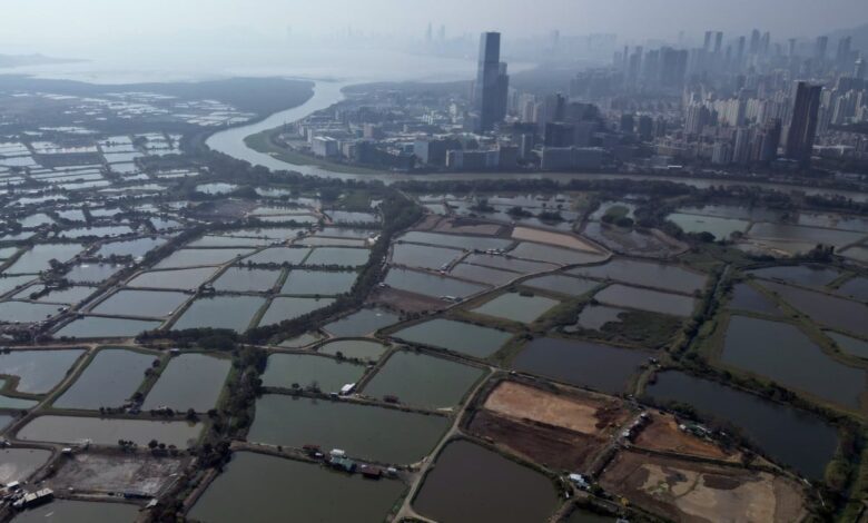 Opinion | Hong Kong must ensure it won’t lose control of Northern Metropolis