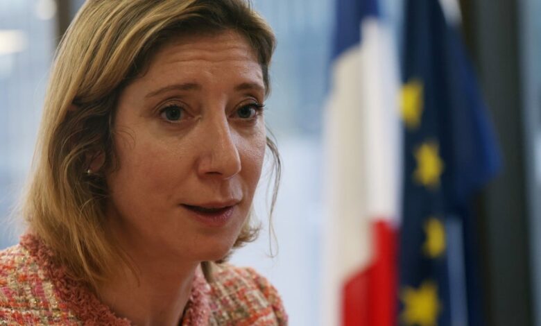‘Open source’ model: why France wants to work closely with China on AI