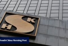 21,000 Hongkongers vie for 329 new homes at 12-year-low prices at SHKP’s Sierra Sea