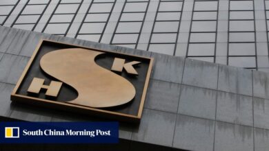 21,000 Hongkongers vie for 329 new homes at 12-year-low prices at SHKP’s Sierra Sea