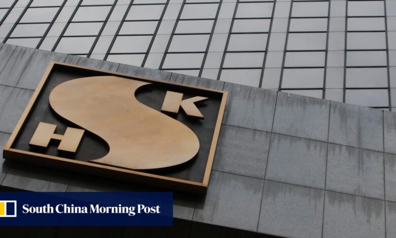 21,000 Hongkongers vie for 329 new homes at 12-year-low prices at SHKP’s Sierra Sea