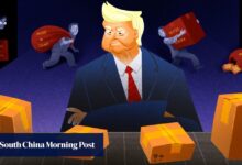 As tariffs cut US-China supply chains, how are firms picking up the pieces?