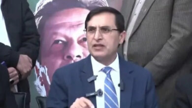 Barrister Gohar rebuts ‘reports, claims’ on political negotiations