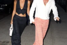 Brad Pitt Proposes to Ines de Ramon After Two Years of Dating