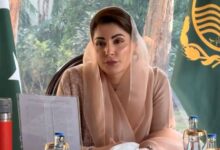 CM vows to boost digital innovation – World Pakistan