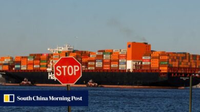 China’s container bookings to plunge up to 60% as US tariffs wipe out trade: report