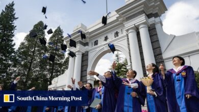 China’s post-Phd students hit record levels as global talent race heats up