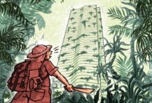 Chinese residents of Malaysian ‘ghost city’ and indebted developer spot a few green shoots