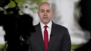 Chinese scholars take on Trump adviser pushing tariff war as prelude to financial revamp
