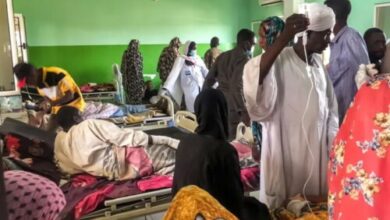 Malaria cases surge in Sindh amid mosquito infestation