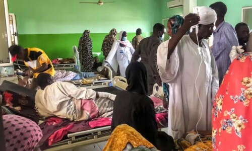 Malaria cases surge in Sindh amid mosquito infestation