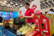 Fruits from the Philippines are displayed during a matchmaking meeting organised by the CIIE Bureau in Shanghai on April 18. Photo: Daniel Ren