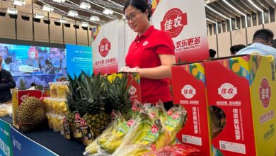 Fruits from the Philippines are displayed during a matchmaking meeting organised by the CIIE Bureau in Shanghai on April 18. Photo: Daniel Ren