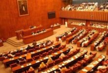 PPP walks out of Senate session in protest over canal projects