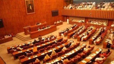 PPP walks out of Senate session in protest over canal projects