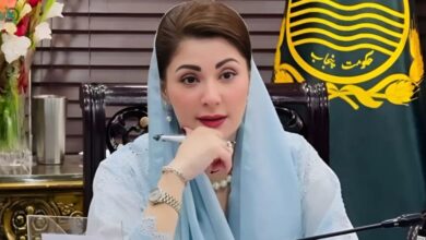 Punjab CM constitutes committee to provide financial assistance to films production