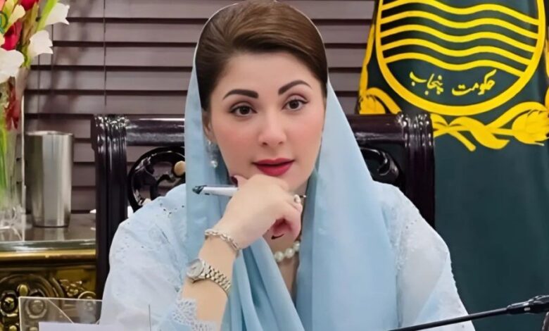 Punjab CM constitutes committee to provide financial assistance to films production