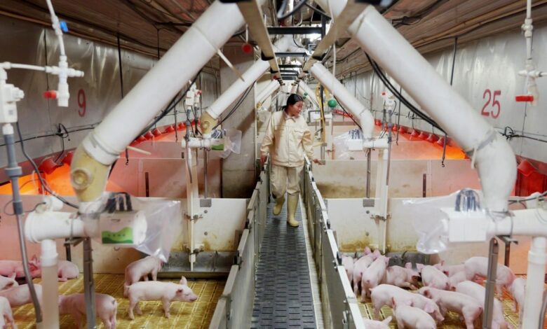 Shenzhen pork producer Muyuan, Beijing AI firm Deepexi plan Hong Kong listings