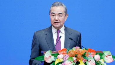 Wang Yi urges stronger China-Austria ties, slams U.S. tariffs