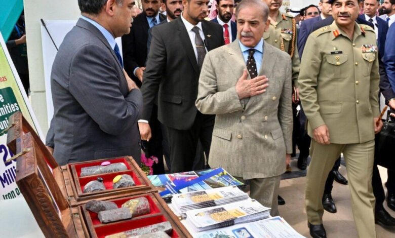 ‘Trillions of dollars’ mineral deposits can enable Pakistan say goodbye to institutions like IMF: PM Shehbaz