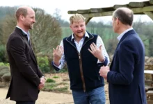 Prince William’s Secret Trips Away From Family Revealed Amid Transition Rumors – World Pakistan