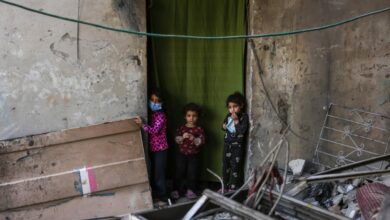 80 Gazans killed in Israeli strikes