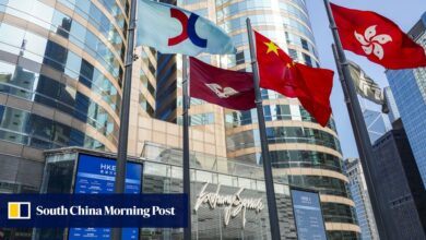 Ahead of Hong Kong IPO, China drug maker Hengrui touts partnership with US giant Merck