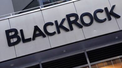BlackRock-backed Suez taps HSBC to review China assets