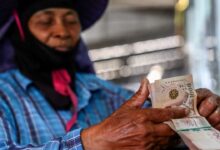 China cuts need for feed seed as food security campaign ramps up