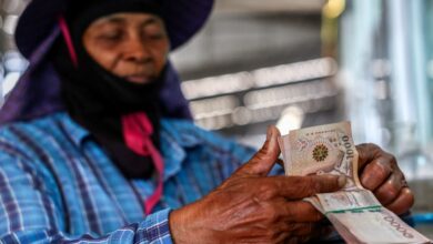 China cuts need for feed seed as food security campaign ramps up