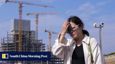 China’s long, nagging property market downturn nears stabilisation: analysts