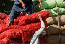 Labourers unload sacks of onion from a truck to supply at a market in Karachi, February 1, 2023. — euters