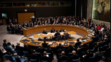 Pakistan to seek UN Security Council meeting at ‘appropriate’ time