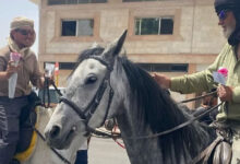 Pilgrims from Europe arrive in Saudi Arabia on horseback to perform Hajj