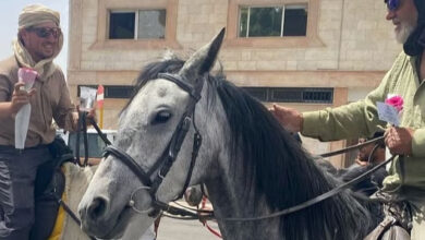 Pilgrims from Europe arrive in Saudi Arabia on horseback to perform Hajj