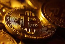 Physical representations of the bitcoin cryptocurrency are seen in this illustration taken October 24, 2023. — Reuters