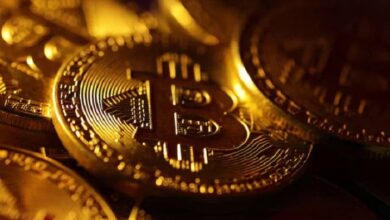 Physical representations of the bitcoin cryptocurrency are seen in this illustration taken October 24, 2023. — Reuters