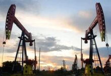 Pumpjacks are seen during sunset at the Daqing oil field in Heilongjiang province, China August 22, 2019. — Reuters