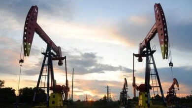 Pumpjacks are seen during sunset at the Daqing oil field in Heilongjiang province, China August 22, 2019. — Reuters