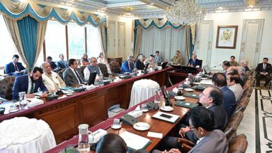 PM Shehbaz Sharif chairs federal cabinet meeting on June 18, 2025. — PID