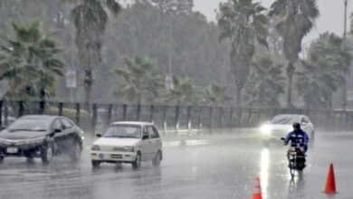 Pre-monsoon rains expected from June 20, authorities on alert