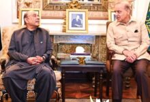 President Asif Ali Zardari (left) and Prime Minister Shehbaz Sharif during a meeting at Presidents House. — APP/File