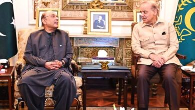 President Asif Ali Zardari (left) and Prime Minister Shehbaz Sharif during a meeting at Presidents House. — APP/File