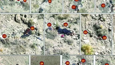 33 terrorists killed as troops foil border breach attempt – World Pakistan