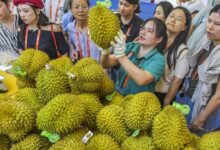 China toughens import rules on Vietnamese durians after detecting health risks