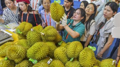China toughens import rules on Vietnamese durians after detecting health risks