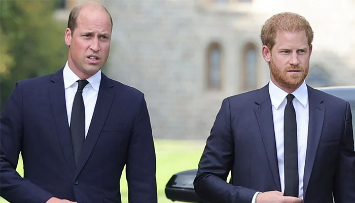 Prince Harry’s potential reconciliation with William sparks royal speculation – World Pakistan