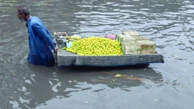Punjab to remain in the grip of climate events